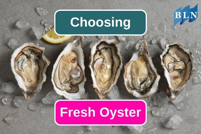 This Is How You Choose Fresh Oyster